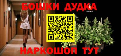 PSILOCYBIN Гай