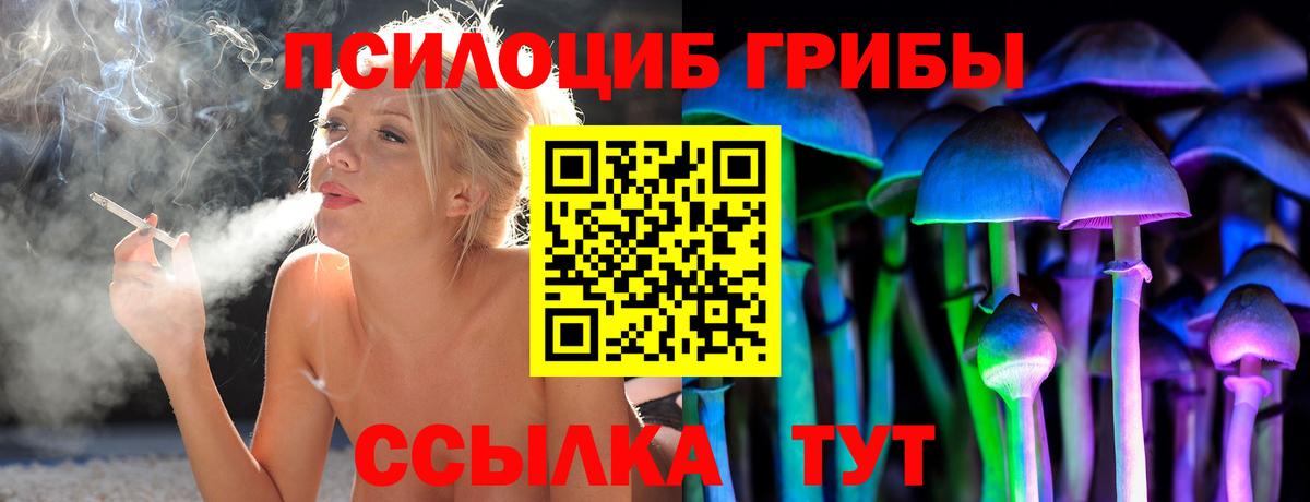 Галлюциногенные грибы Psilocybine cubensis  Вход с VPN  что такое   Орехово-Зуево 